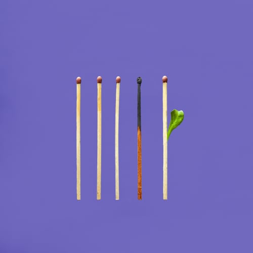 tangerine-newt-o04xDvWE33U-unsplash-1-scaled tangerine-newt-o04xDvWE33U-unsplash-1-scaled